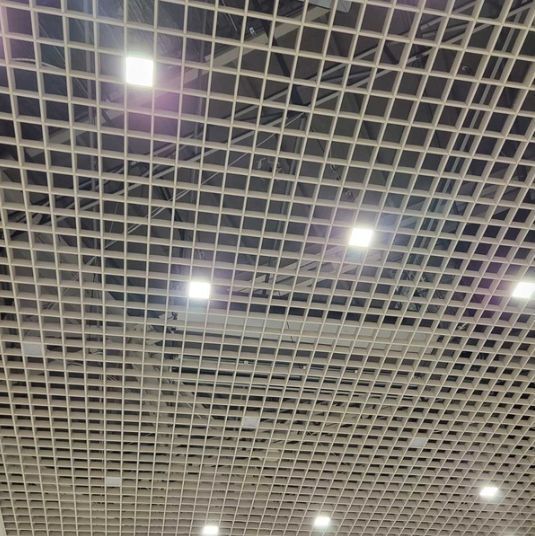 LED cветильник Грильято Svitlodar 8Вт 6000К ячейка 100х100мм внутри 90х90мм LC8Вт-6К LC8Вт-6К фото