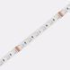 Led лента COLORS RGB+3000 24V 19,2Вт 60шт/м 12мм ІР20 с кратностью реза 100мм D560RGBWW-24V-12mm фото 1
