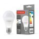 LED лампа TITANUM A60 8W E27 4100K 24923 фото 1