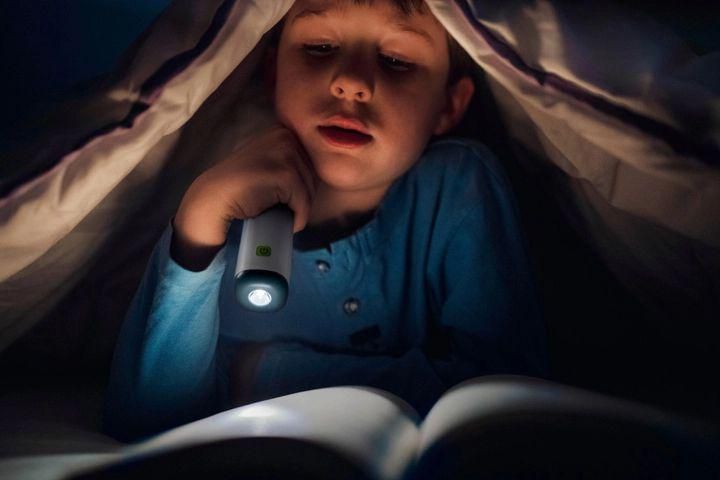 LEDVANCE Світильник з акумулятором NIGHTLUX LANTERN POWERBANK 0.5 Вт 3000/4000K 25Лм 500мА&bull;год ліхтарик 4058075570207 фото