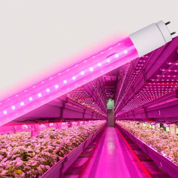 LED FITO лампа VIDEX T8F 9W 0.6M 26999 фото