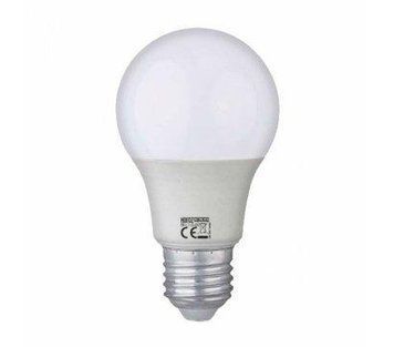 Лампа світлодіодна низьковольтна 12-24V (AC-DC) "METRO-1" 10W 4200К E27 001-060-1224-030 фото