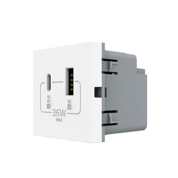 Механизм розетка USB-A и USB-C с Power Delivery 36W Livolo белый (VL-FCUA18W.UC18W-2WP) VL-FCUA18W.UC18W-2IP фото