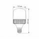 LED лампа VIDEX A118 50W E40 5000K 24310 фото 3