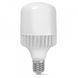 LED лампа VIDEX A118 50W E40 5000K 24310 фото 2